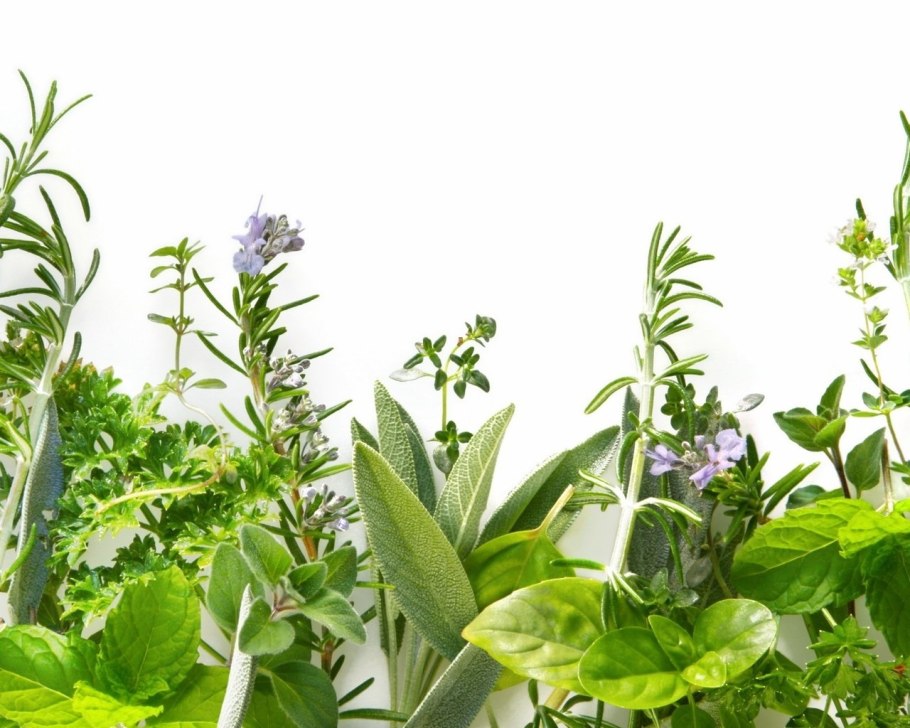 Цвет шалфей в интерьере