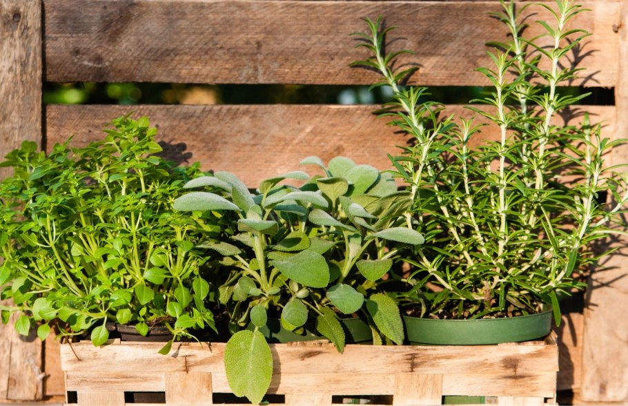 Оттенки стен в скандинавском стиле