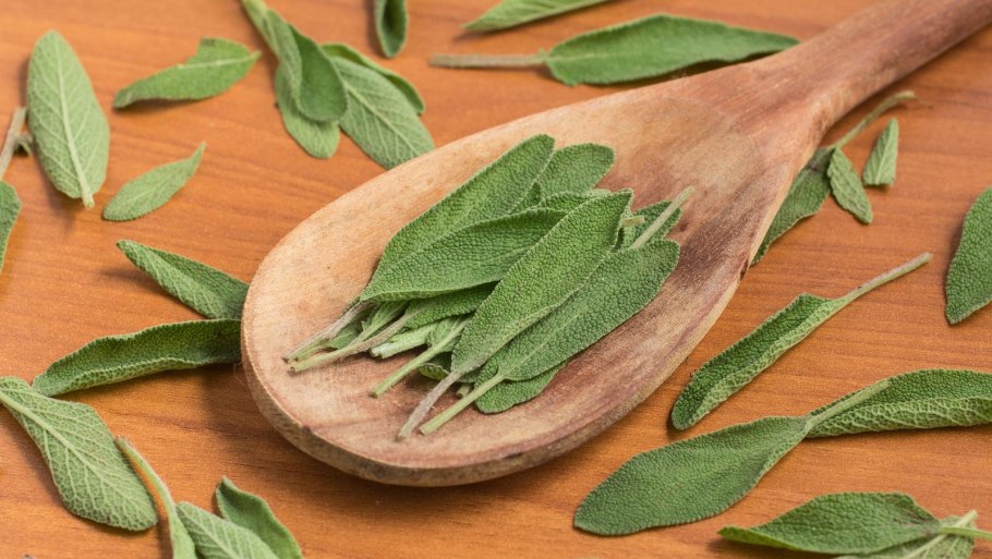 Лечебные травы на белом фоне