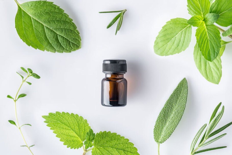 Шалфей Дубравный на клумбе