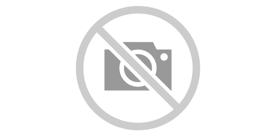 Береза повислая Тристис