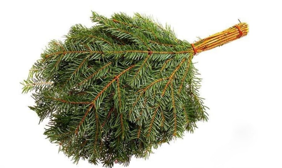 Еловая, Пихтовая, Сосновая лапы