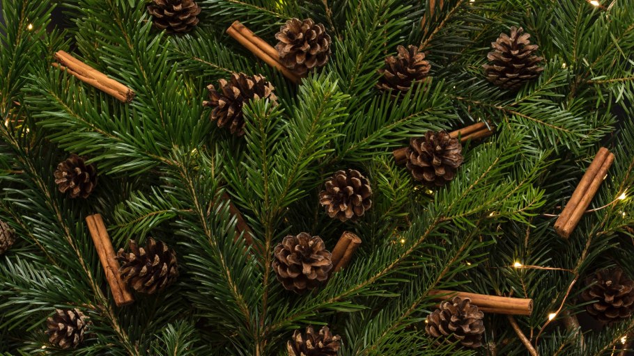 Пихтовый лапник