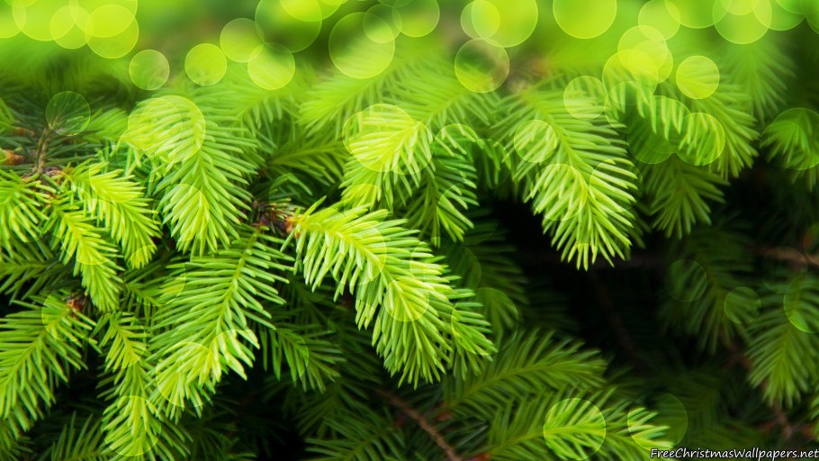 Декор из еловых веток