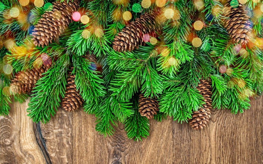Еловые лапки