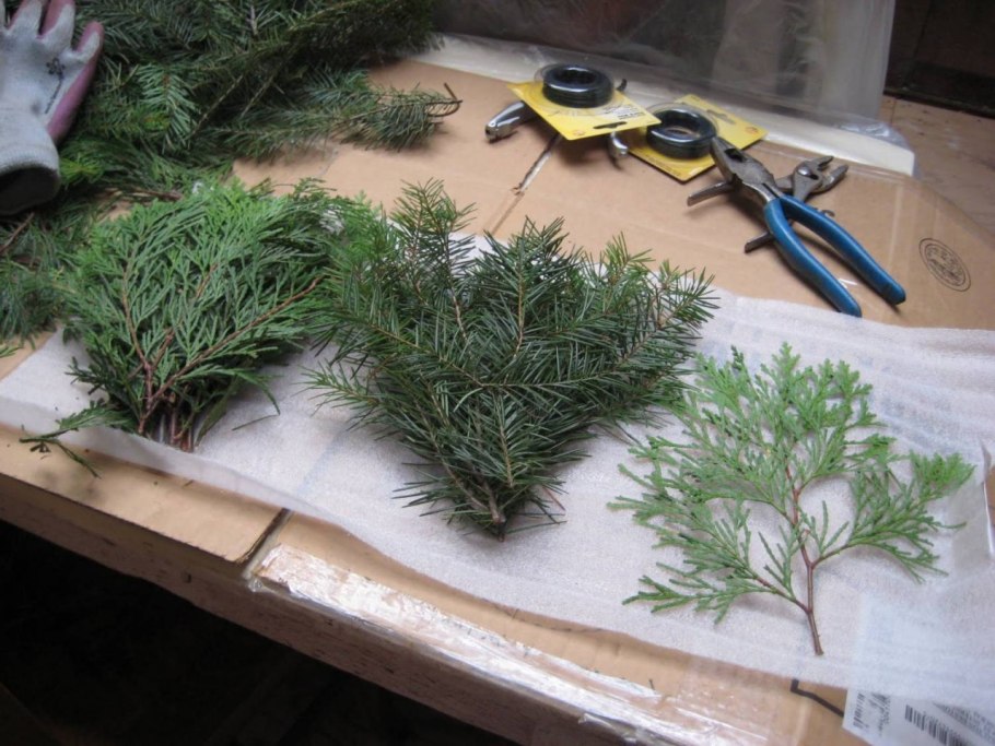 Ветка Еловая