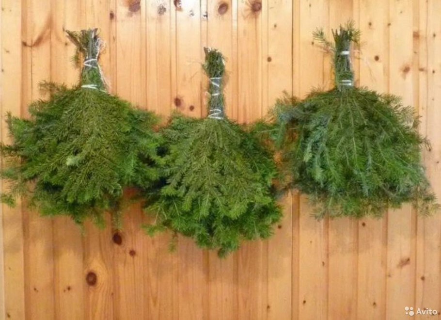 Лиственница Сибирская хвоинки