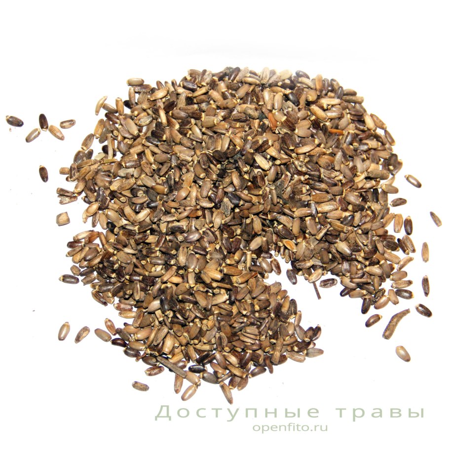 Колючее Полевое растение