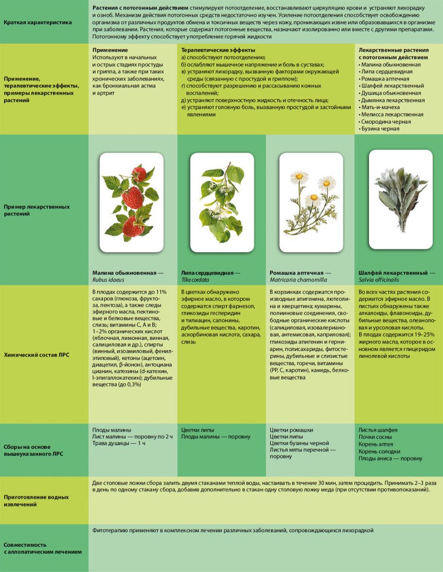 Обрезка шиповника формировочная