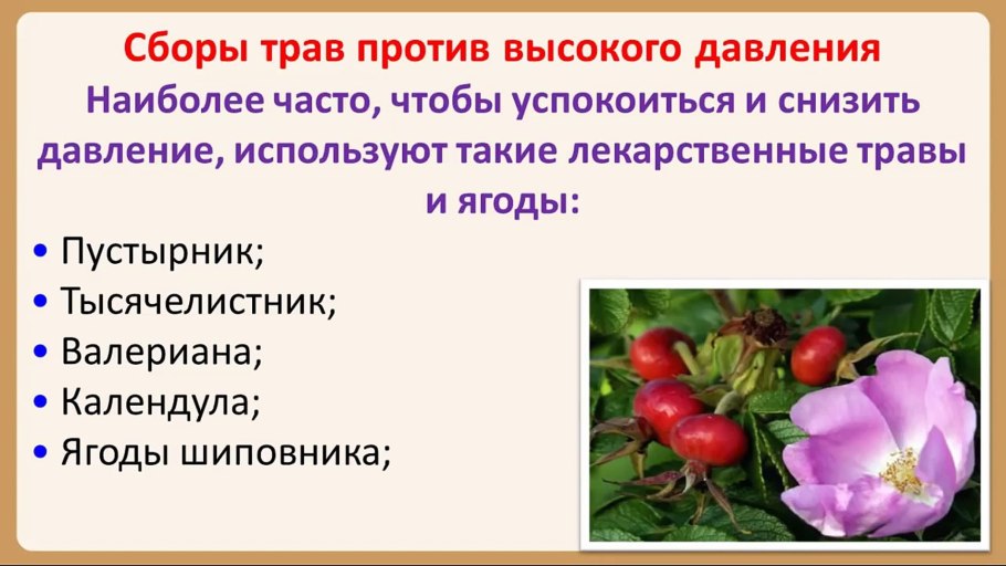 Систематика голосеменных растений