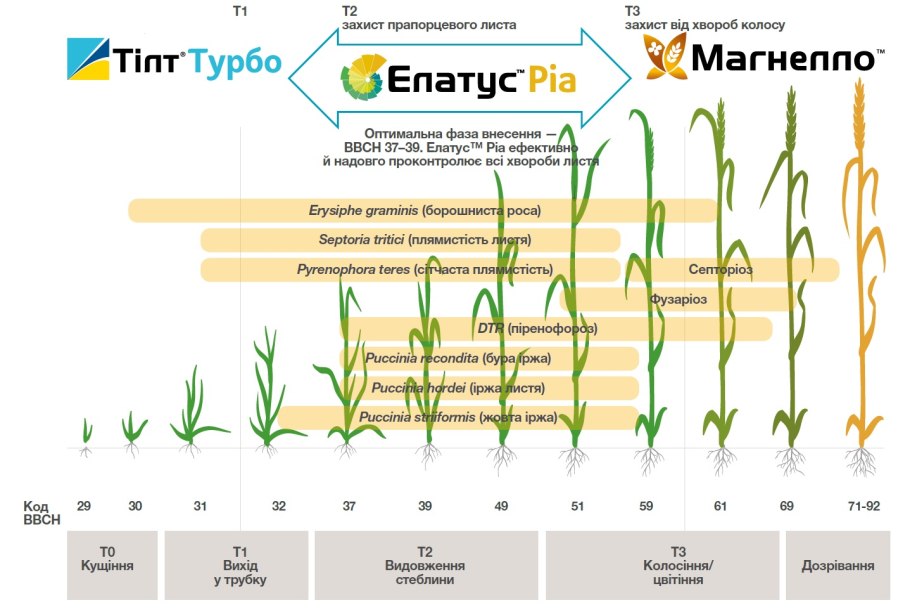 Нормы внесения удобрений под кукурузу