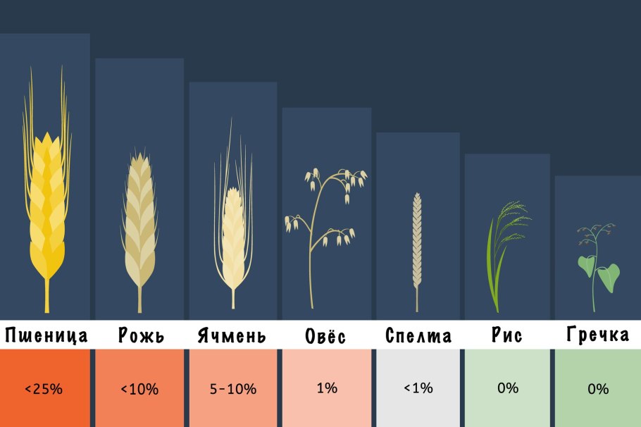 Способы посева многолетних трав