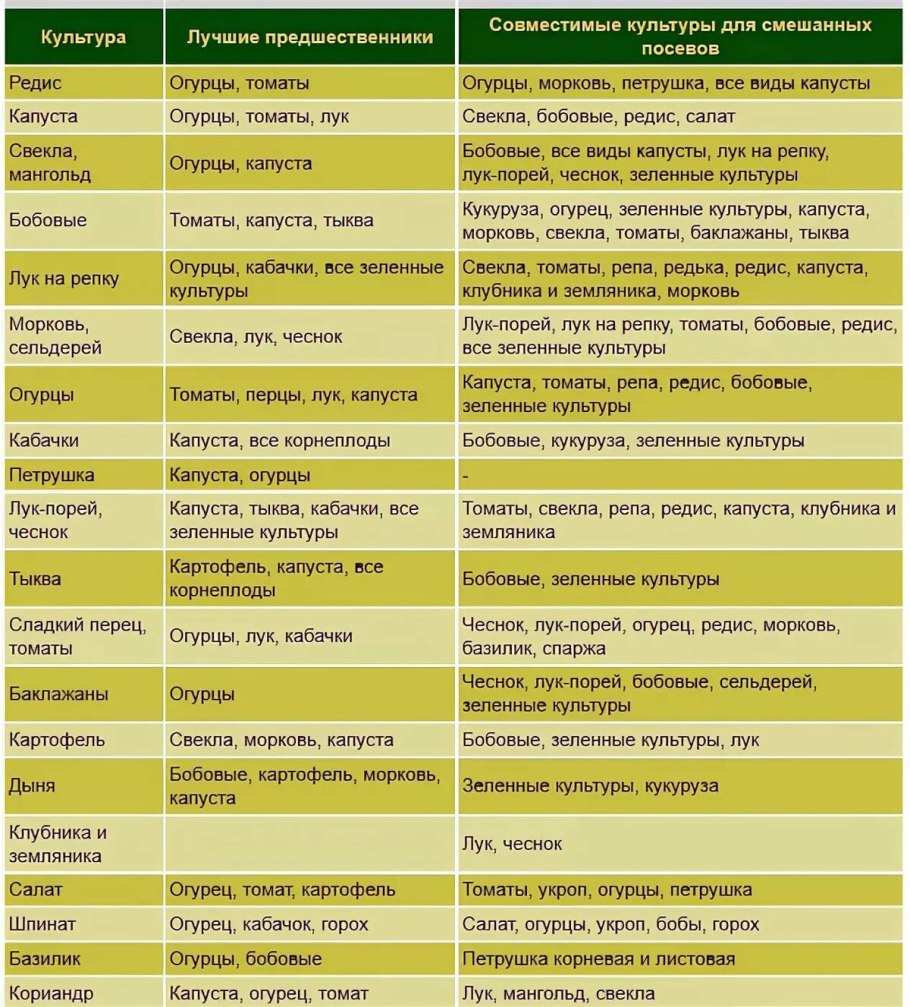 Рожь пшеница ячмень Тип соцветия