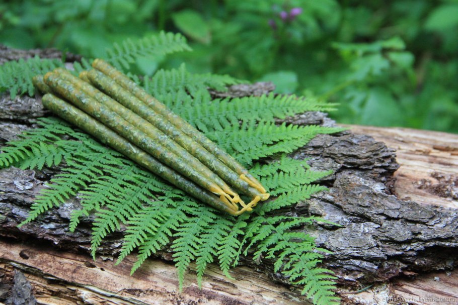 Щитовник Амурский