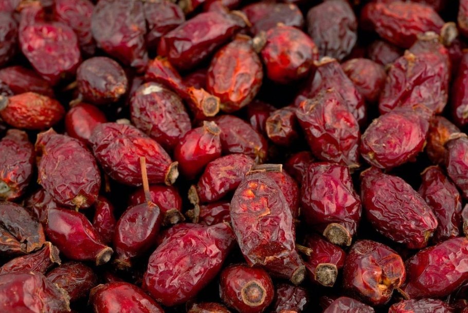 Шиповник рисунок Графика