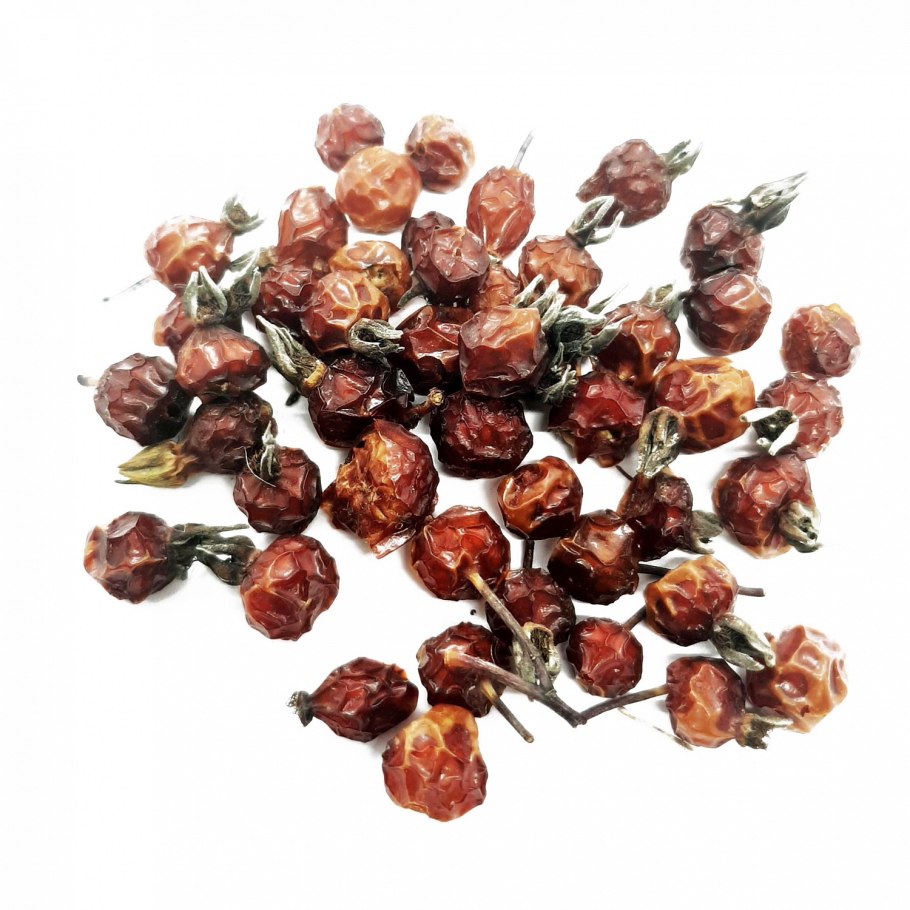 Роза ругоза морщинистая Рубра