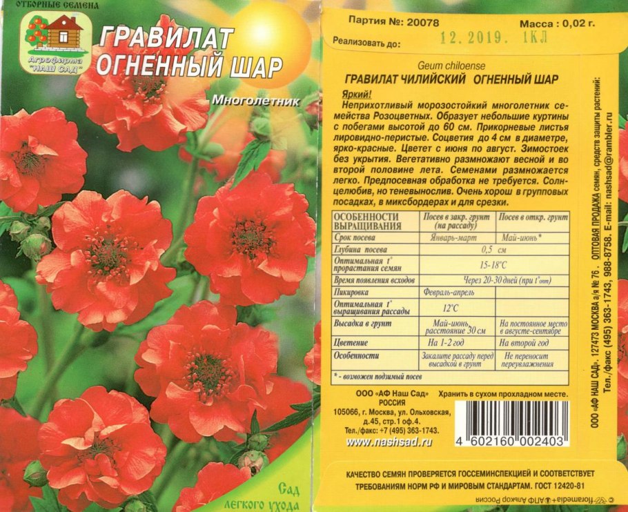 Гравилат флеймс оф пассион