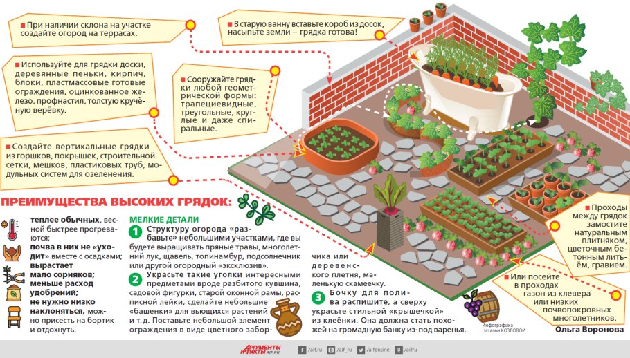 Схема посадки плоловыхьдеревьев