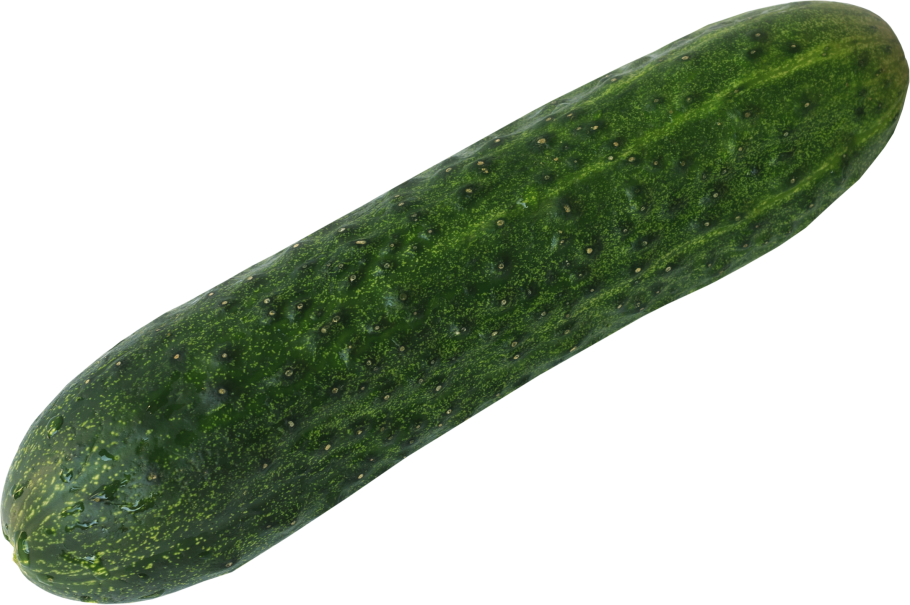 Огурец один