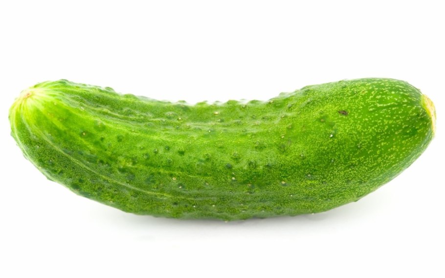 Огурец один