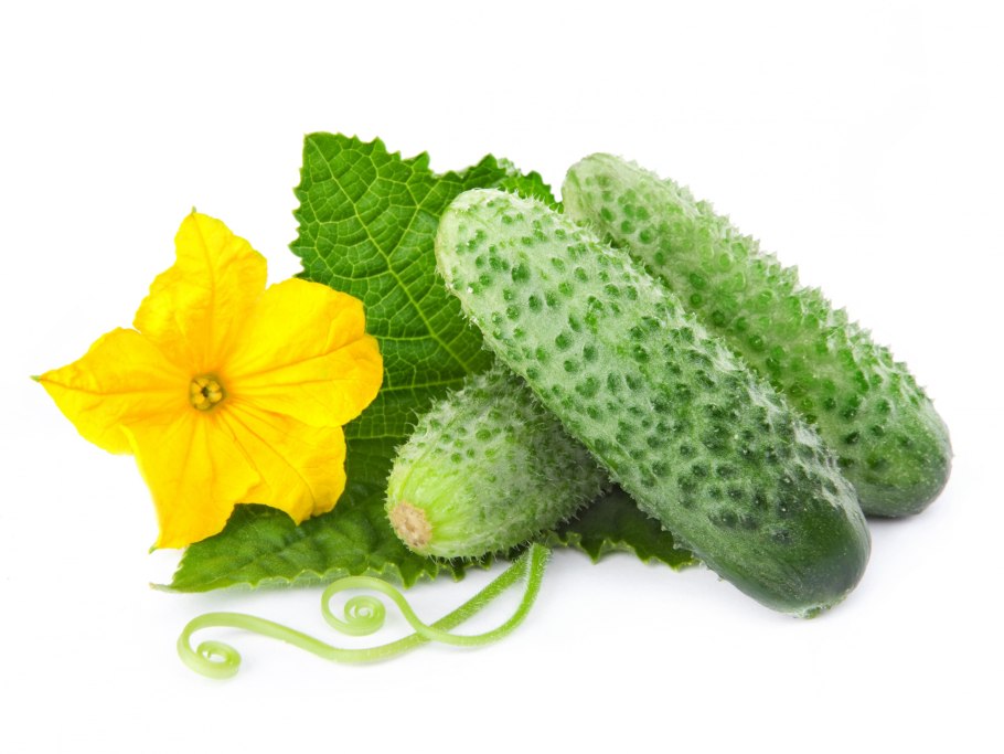 Овощи огурец