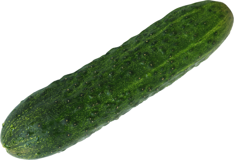 Огурец пупырчатый на белом фоне