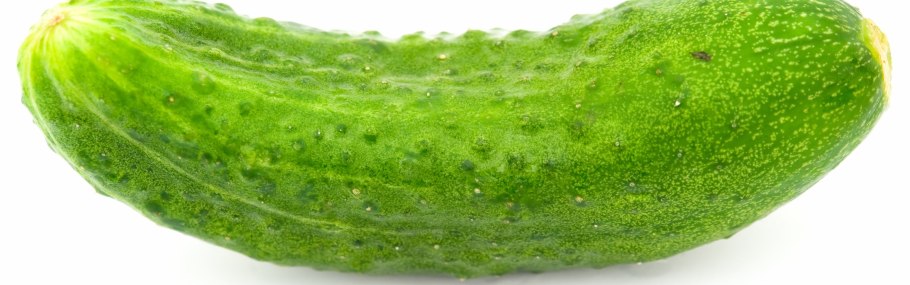Зеленый огурец