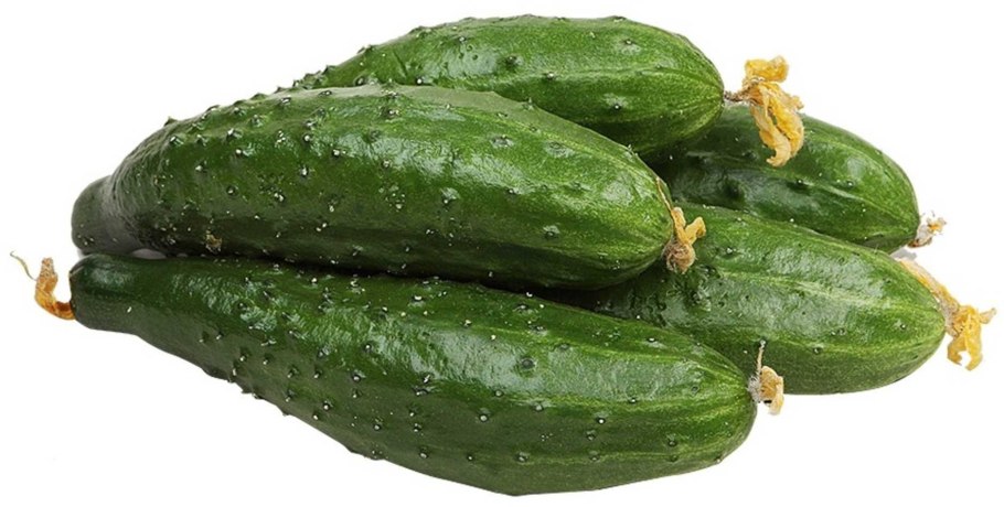 Огурец один на белом фоне