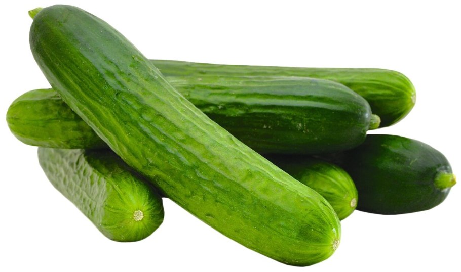 Огурцы среднеплодные