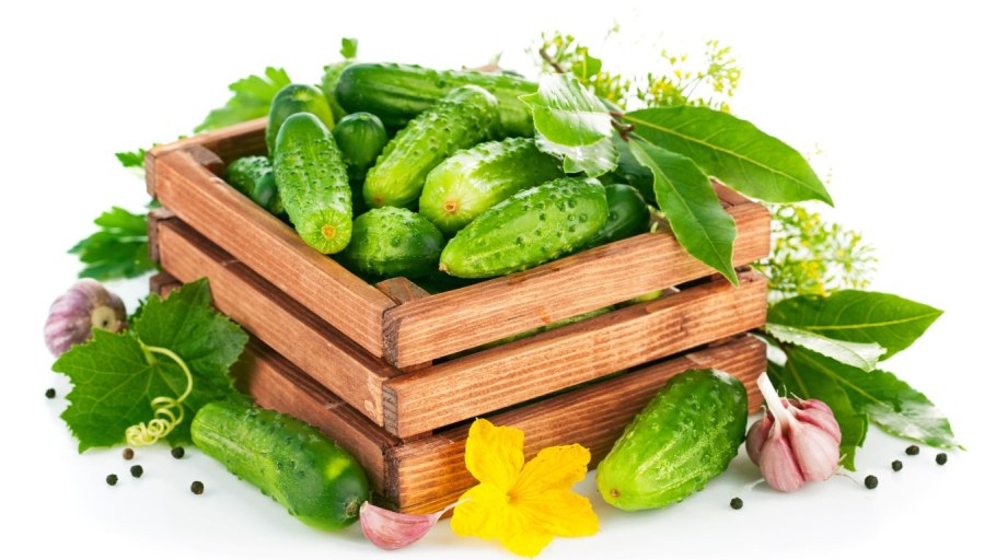 Огурец один на белом фоне