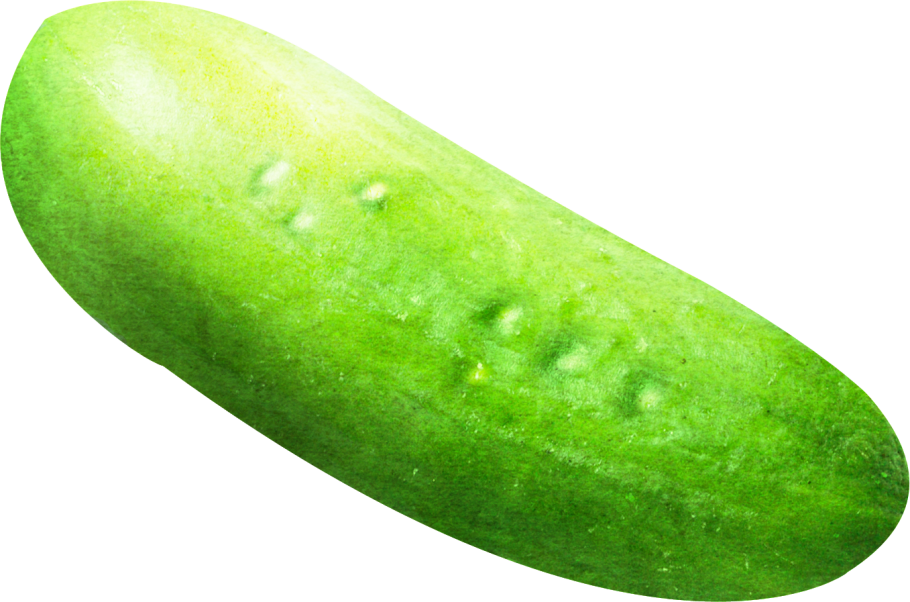 Огурец на прозрачном фоне