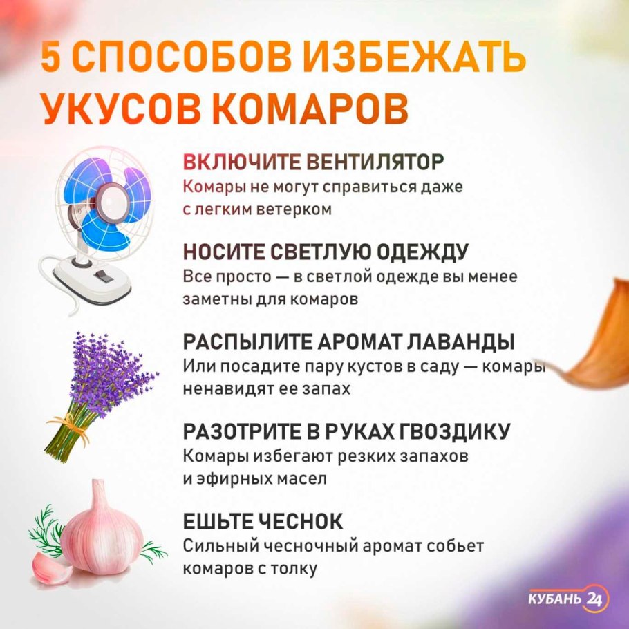 Домашнее средство от комаров
