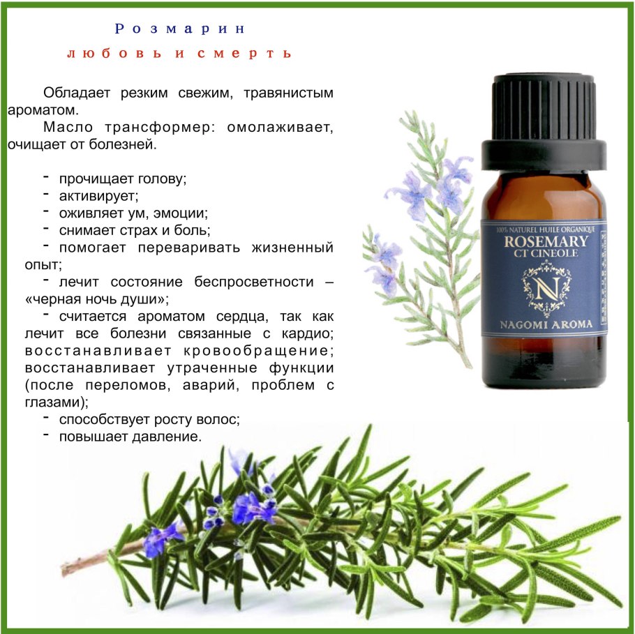 Эфирные масла от комаров и мошек