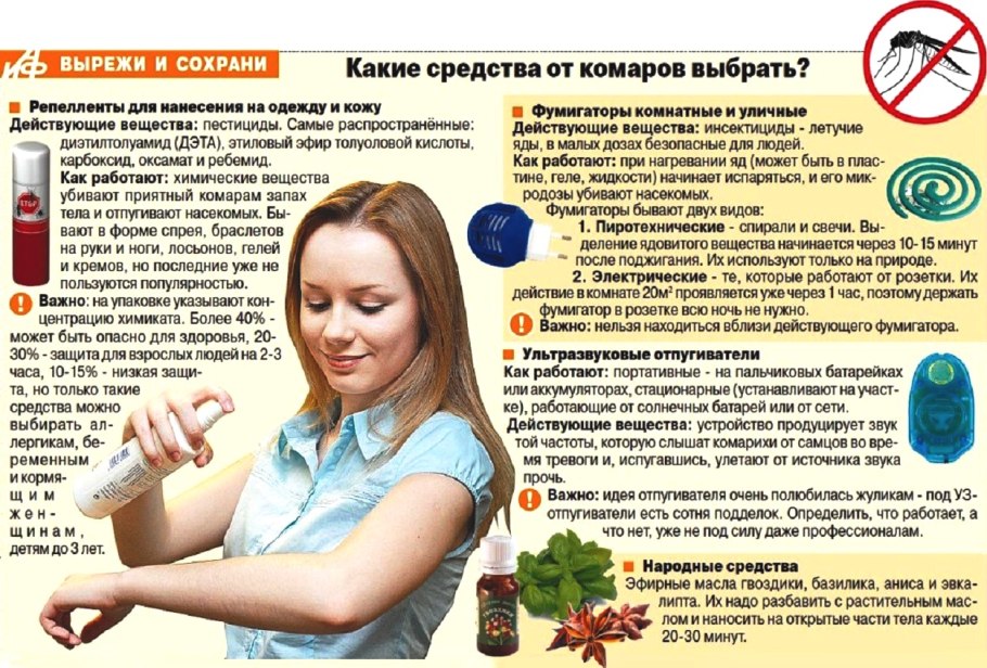 Растения отпугивающие комаров базилик