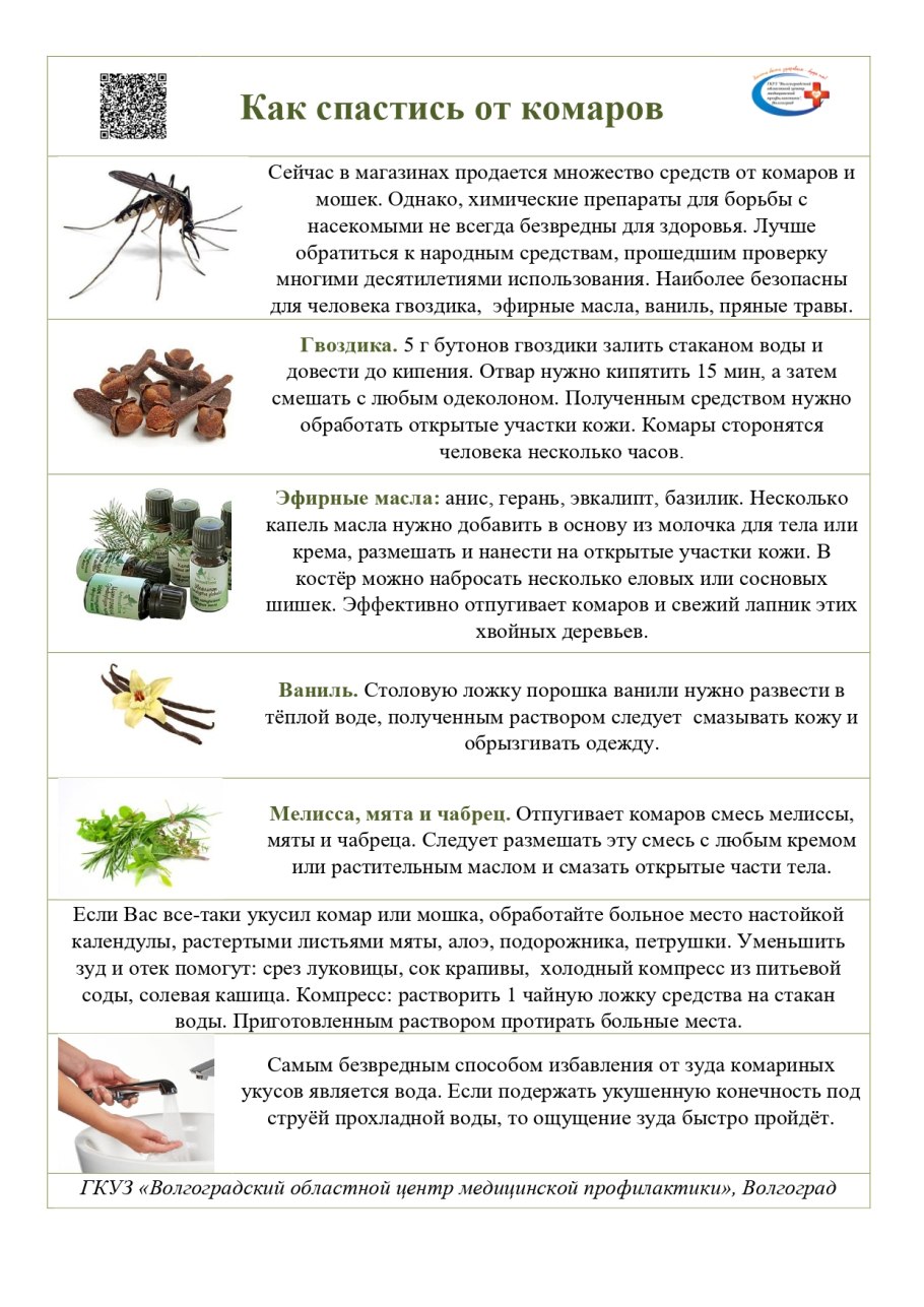 Герань от мух