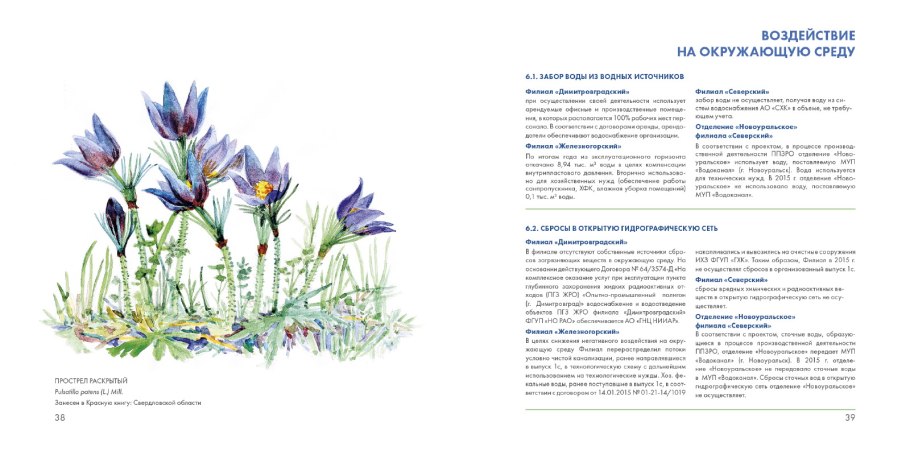 Прострел желтеющий увядшие