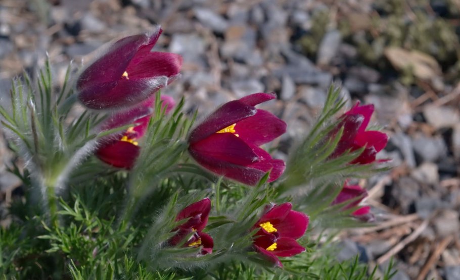 Ярко белый фон