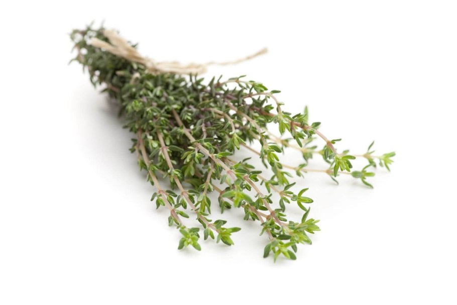 Тимьян овощной Медуница