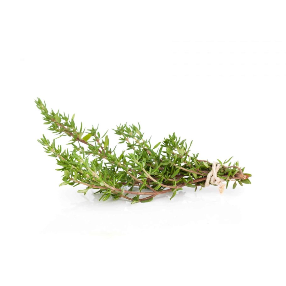 Веточка чабреца