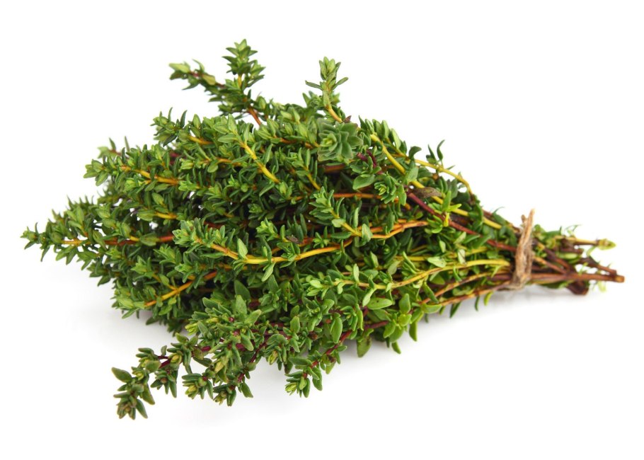 Тимьян (чабрец)