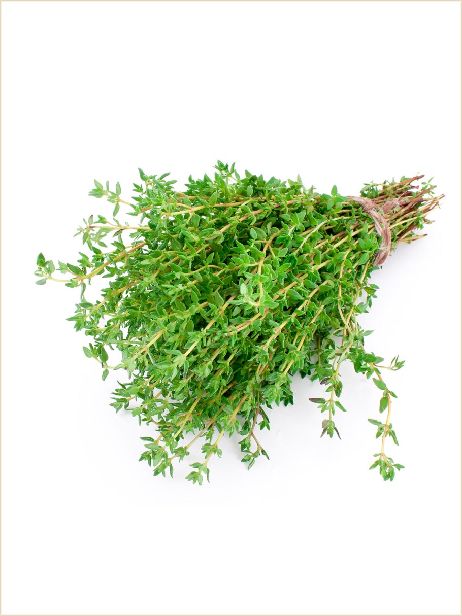 Тимьян (чабрец)