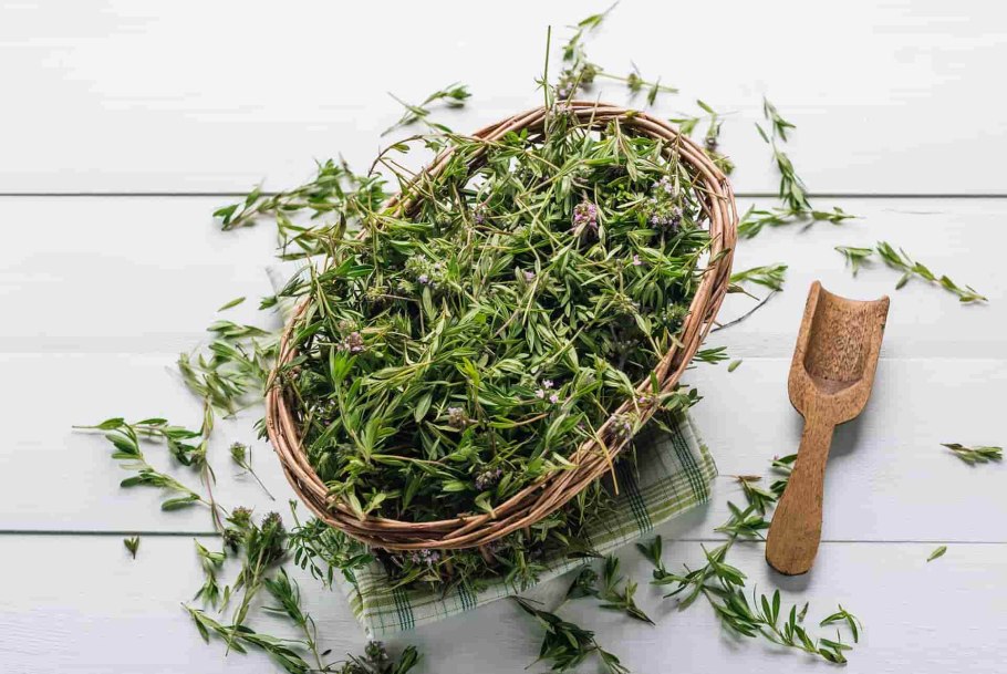 Тимьян зелень