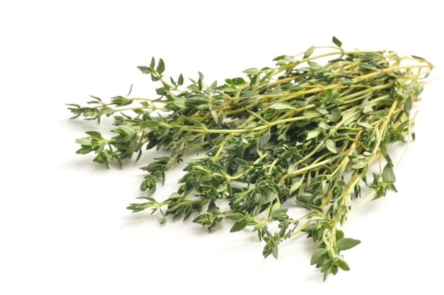 Тимьян ползучий листья