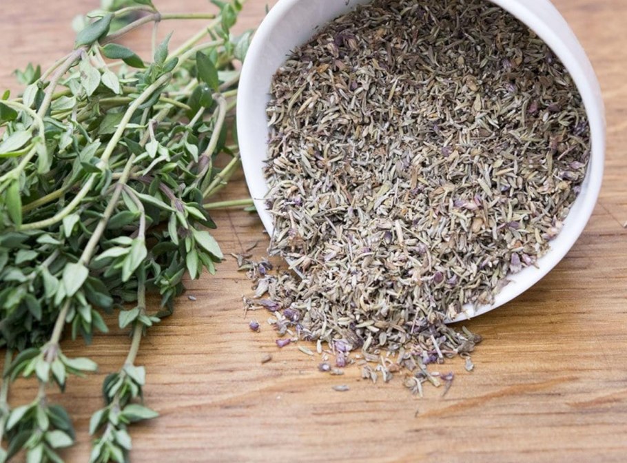 Тимьян растение