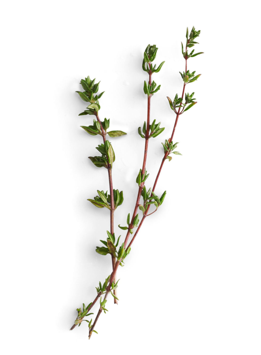 Приправы орегано тимьян