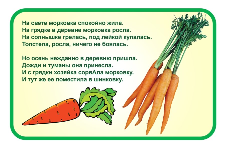 Морковь Мустанг f1