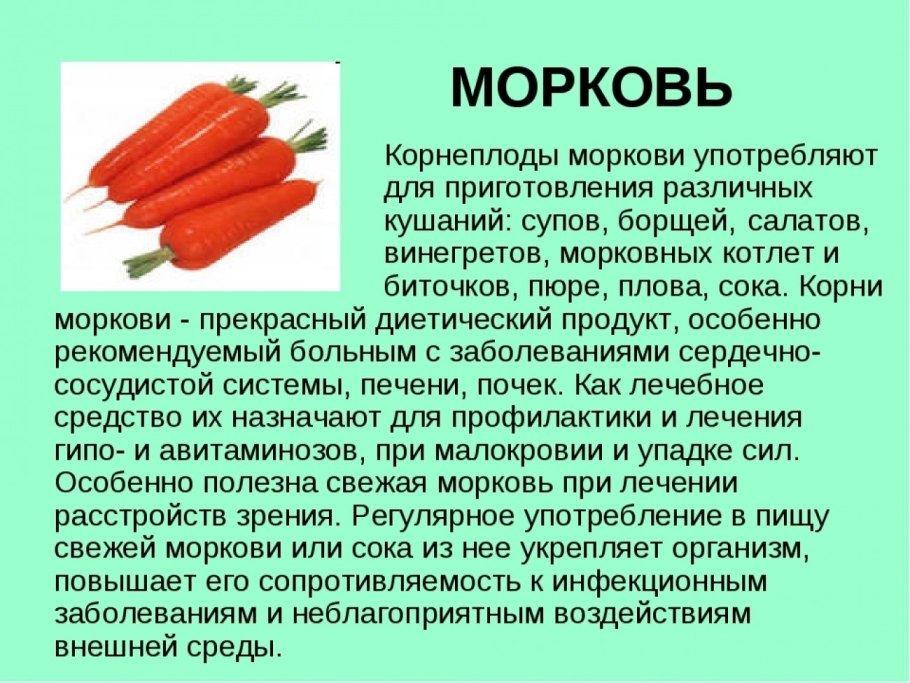 Части корнеплода моркови