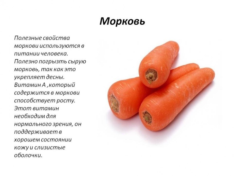 Витамины в морковке на 100 грамм