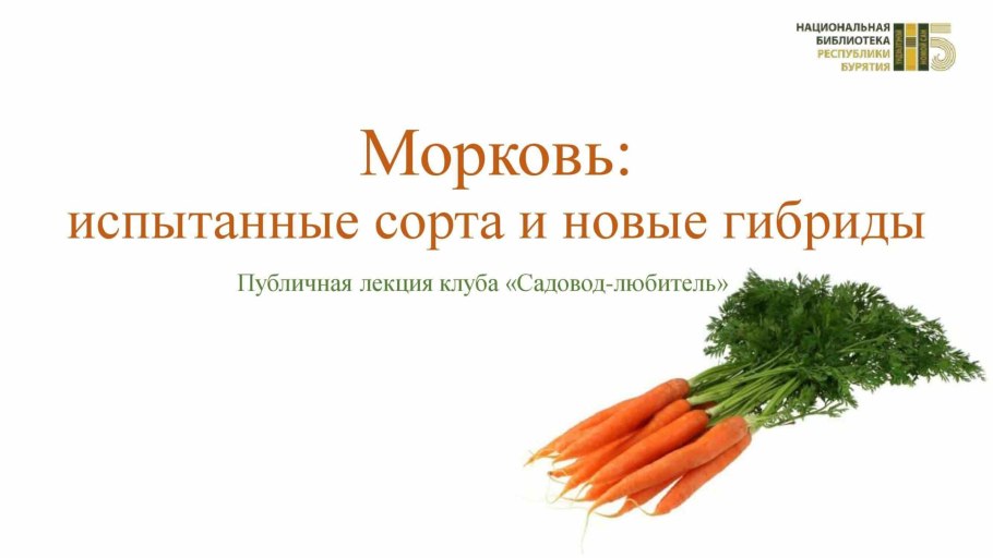 Морковка настоящая