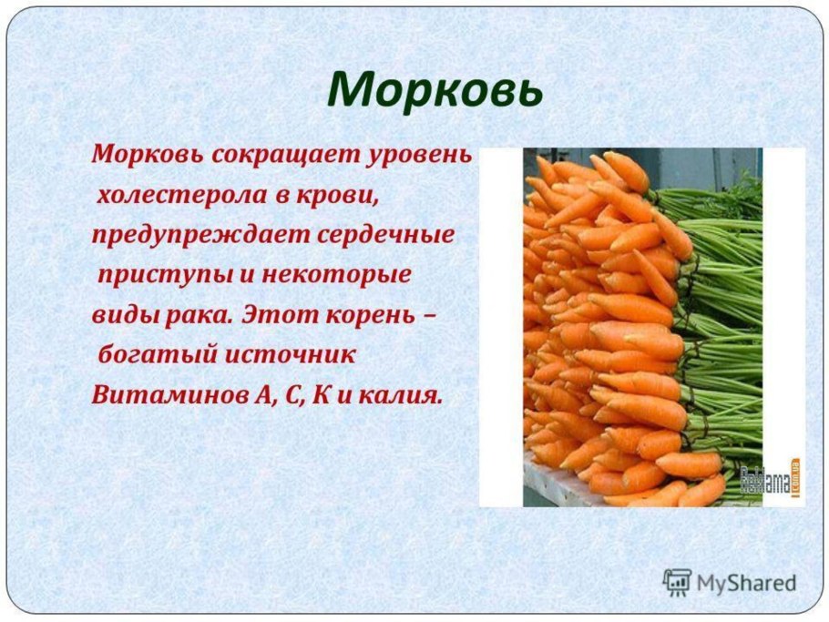 Морковь Московская зимняя а 515 Аэлита